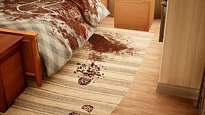 Detective - The Test