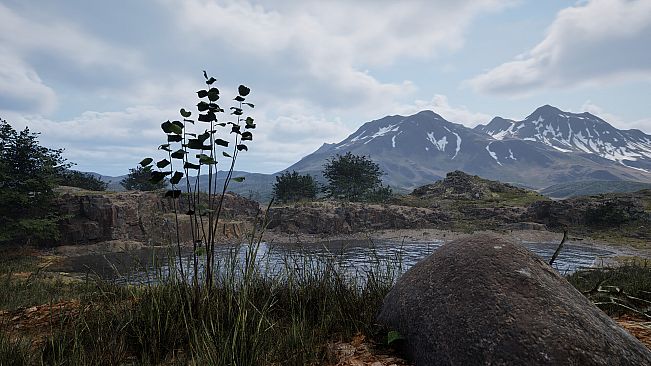 Stone Simulator – Just Be a Rock