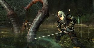 The Witcher: Director's Cut Update