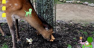 Desktop Mascot ~ Tasmon's Little Island