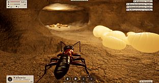 Ant Now?