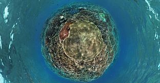 Coral Compass: Fighting Climate Change in Palau