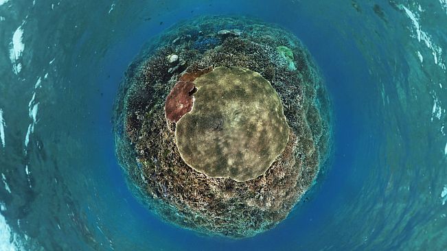 Coral Compass: Fighting Climate Change in Palau