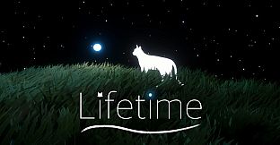 Lifetime
