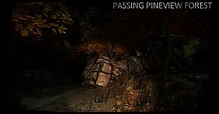 Passing Pineview Forest