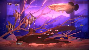 With Me: Aquatic Time