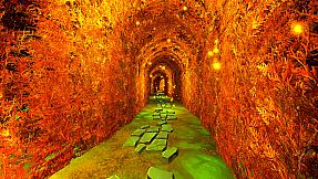 Escape Halloween Forest