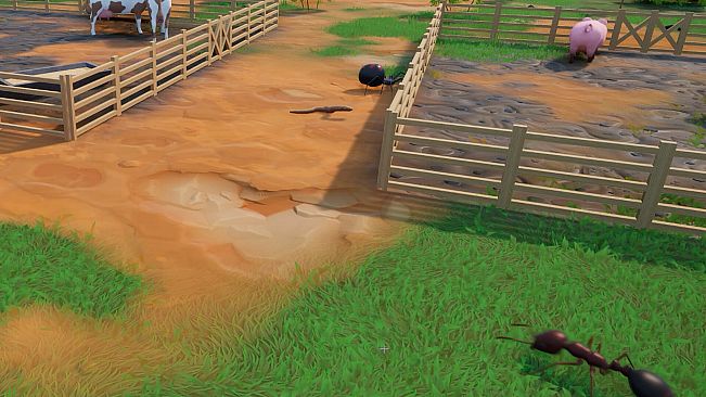 Wild Roots : Chef Vs Critters