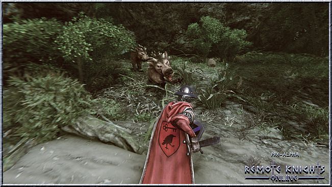 Remote Knights Online