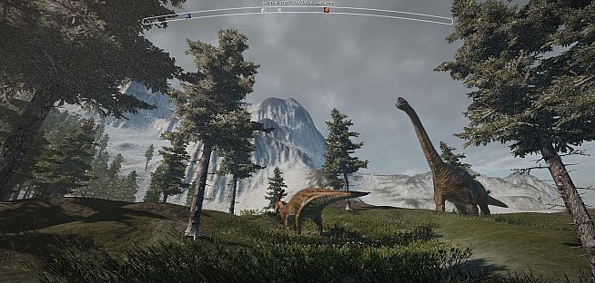 Spirit Animal Survival