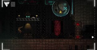 The 7th Sign Project