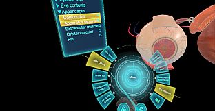 眼睛（眼球）结构研究