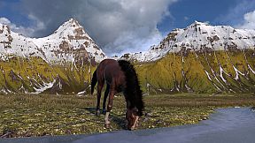 HORSE LIFE: find horses in open world, survive in wild nature as a foal or pony