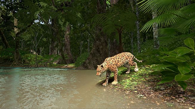 Animal Planet: Amazon Odyssey