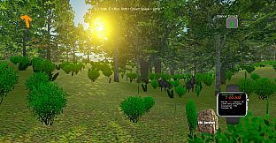 Turkey Hunting - The Season