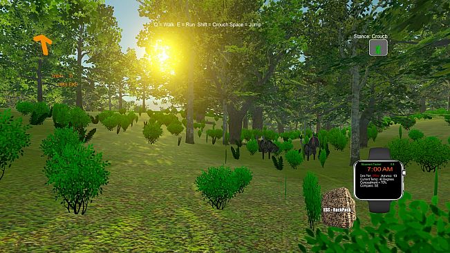 Turkey Hunting - The Season