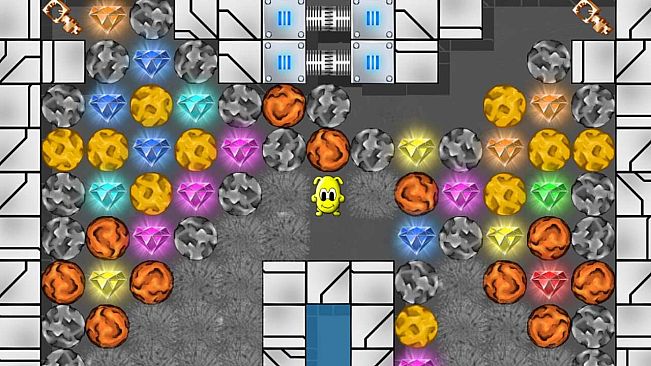 Danko and the mystery of the jungle