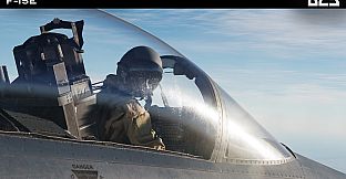 DCS: F-15E