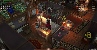 Winkeltje - Cat Companion