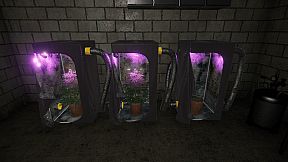 Drug Dealer Schedule