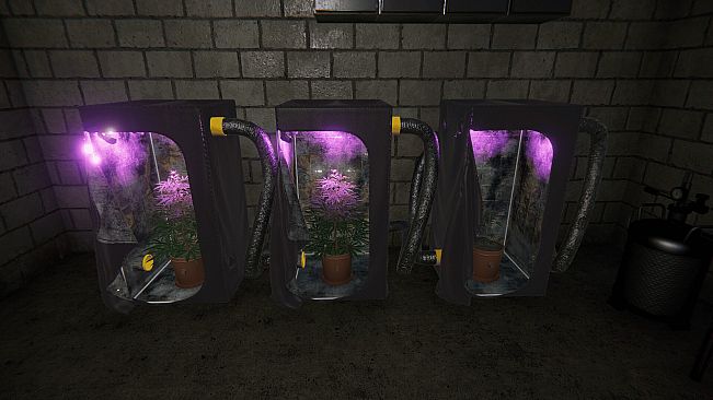 Drug Dealer Schedule