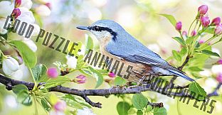Good puzzle: Animals - Wallpapers