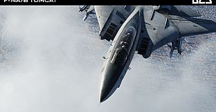 DCS: F-14A/B Tomcat by Heatblur Simulations