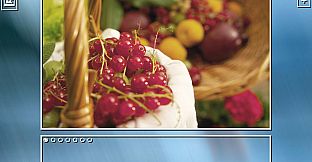 Super Jigsaw  Puzzle: Generations - Fruits Puzzles