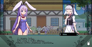 Rabi-Ribi - Is the order a DLC?