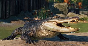 Planet Zoo: North America Animal Pack