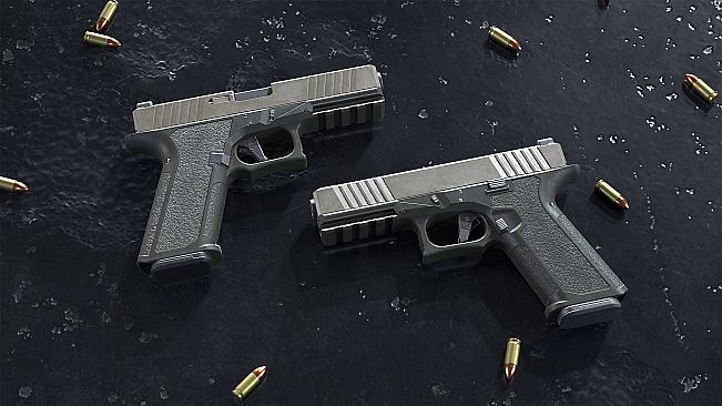 Insurgency: Sandstorm - Two-Tone Weapon Skin Set