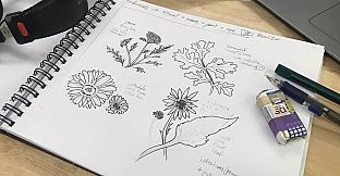 Wildheart Gourmet - Supporter Pack