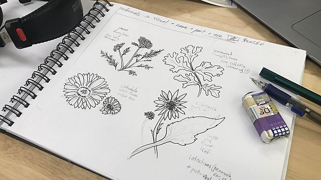 Wildheart Gourmet - Supporter Pack