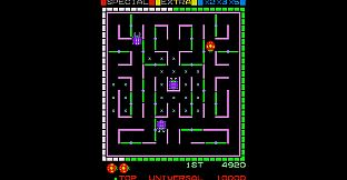 Arcade Archives 2 Lady Bug