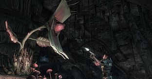 Fallout New Vegas: Honest Hearts