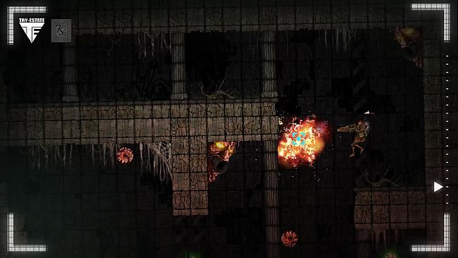 The 7th Sign Project