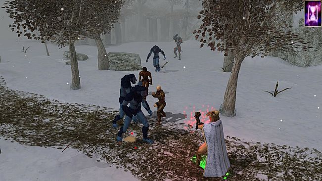 Neverwinter Nights: Enhanced Edition Doom of Icewind Dale