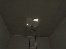 Backrooms: The Labyrinth