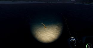 Rogoz Fishing