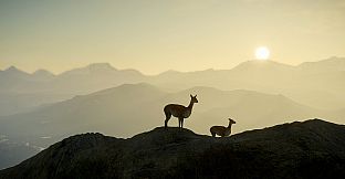 theHunter: Call of the Wild - Peru Hunting Reserve