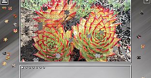 Super Jigsaw Puzzle: Generations - Desert