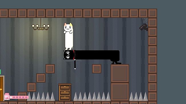 Super Long Cat