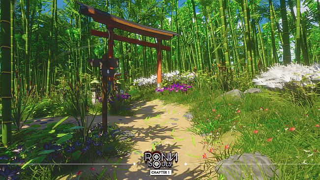 RONIN: Two Souls CHAPTER 1