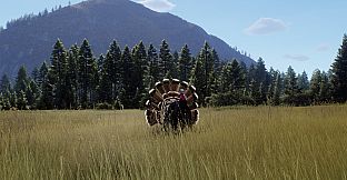 Way of the Hunter - Elkcrest Island