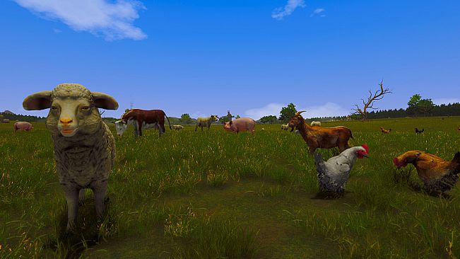 Last Pasture