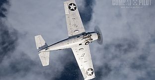 COMBAT PILOT: CARRIER QUALIFICATION