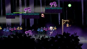 The Light and the Shadow