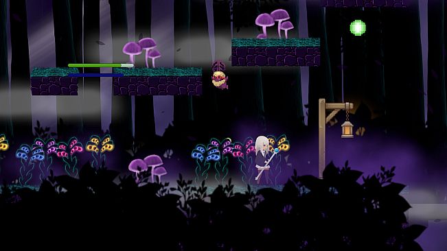 The Light and the Shadow