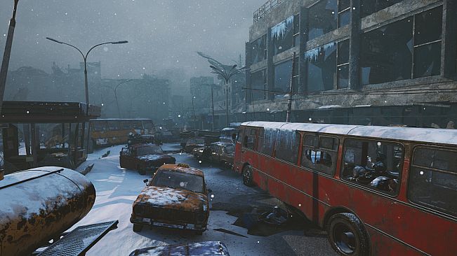 Beneath the Snow Veil