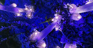 ARK: Aquatica - Luminati Suns Song